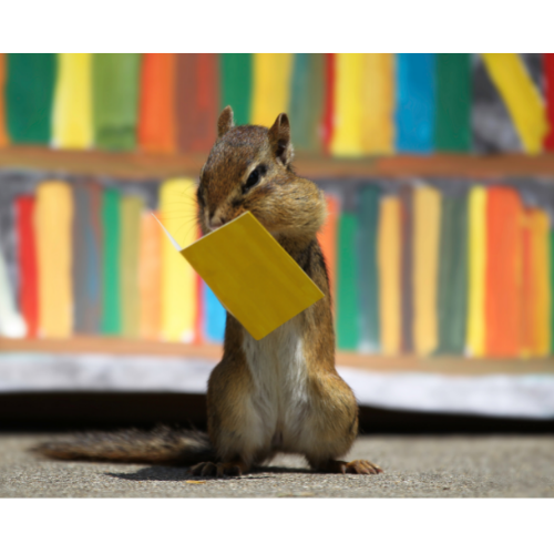 chipmunk reading