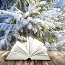 winter storytime