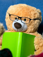 bear reading