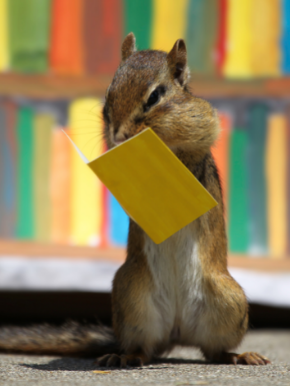 chipmunk reading